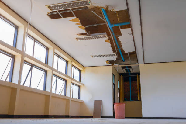 Carpet water damage restoration in Calico Rock, AR