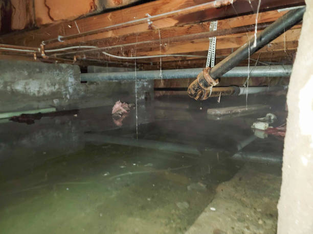 Water damage restoration insurance claims in Calico Rock, AR