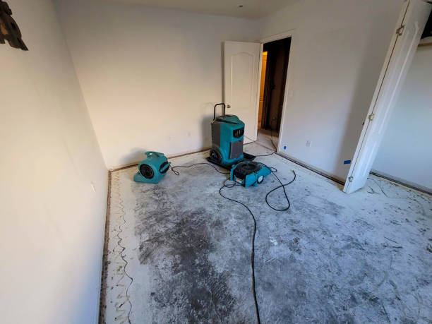 Professional Water damage restoration in Calico Rock, AR