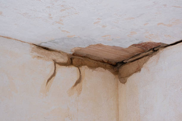 Best Fire Damage Restoration  in Calico Rock, AR
