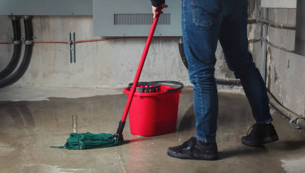 Best Flood restoration services  in Calico Rock, AR