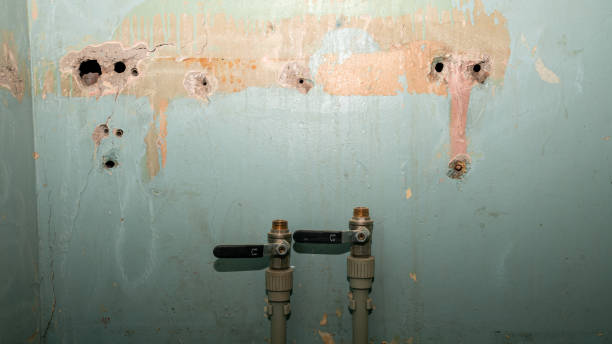 Best 24/7 water damage repair  in Calico Rock, AR