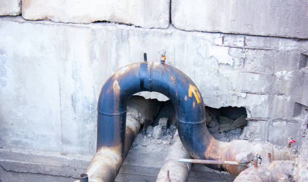 Best Mold removal after water damage  in Calico Rock, AR